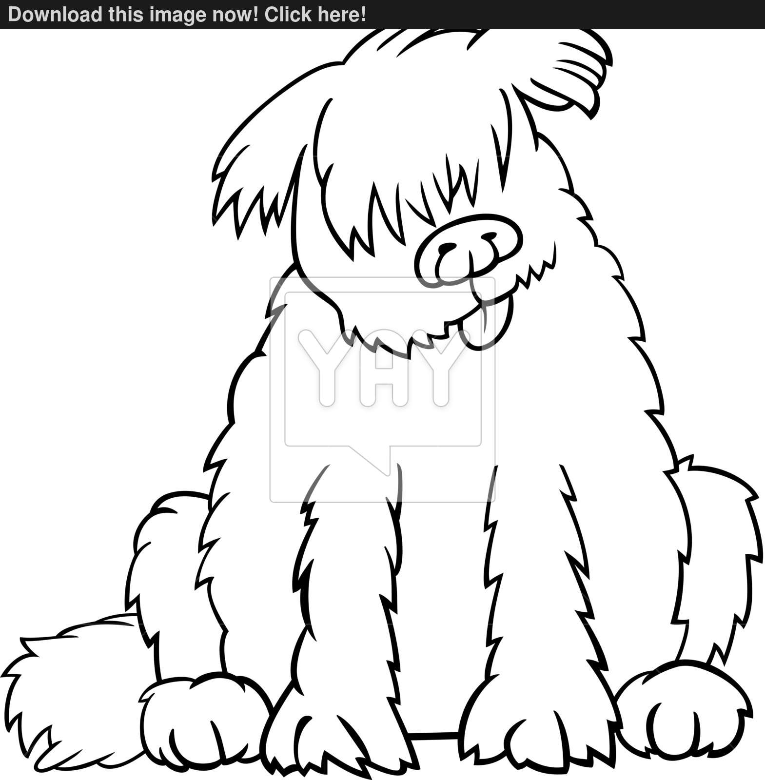 Download Newfoundland Dog Vector at Vectorified.com | Collection of ...