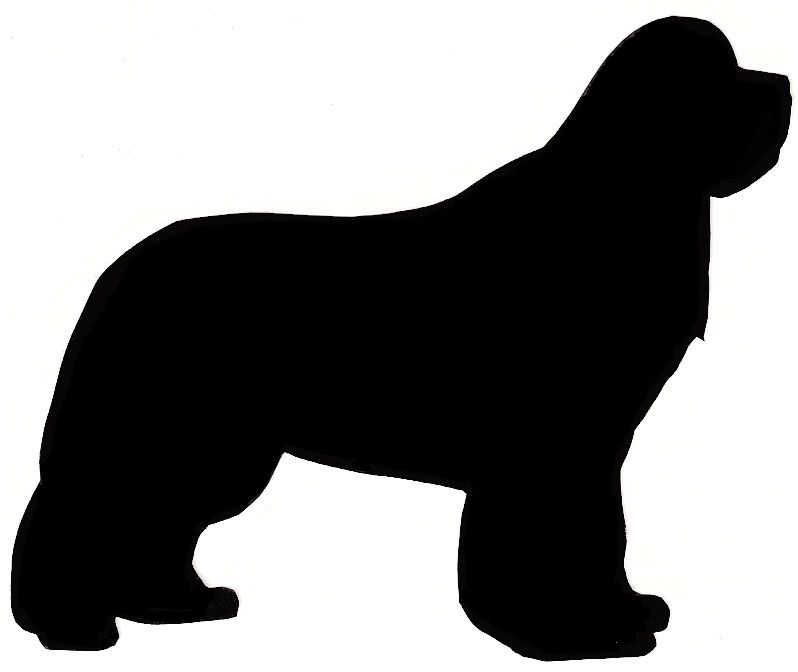 798x672 Silhouettes Of Dog Heads Newfoundland Newfoundland Silhouette