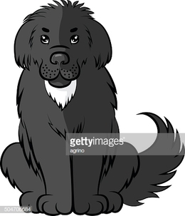 260x303 Download Newfoundland Dog Vector Clipart Newfoundland Dog Clip Art