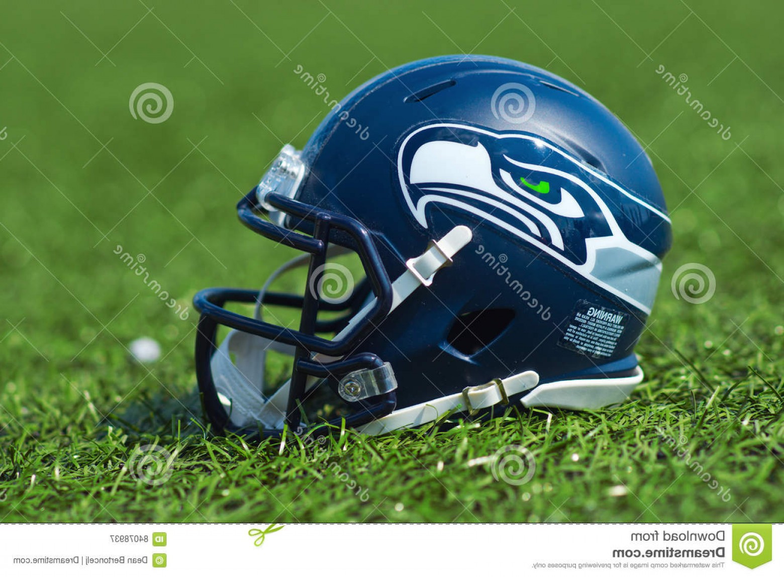 Seahawks Helmet Vector Lamaison 1560x1148 Seahawks Helmet Vector Lamaison