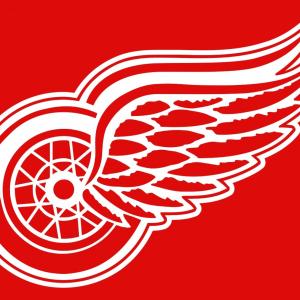 300x300 Detroit Red Wings Vintage Logo Vector Newwaysys