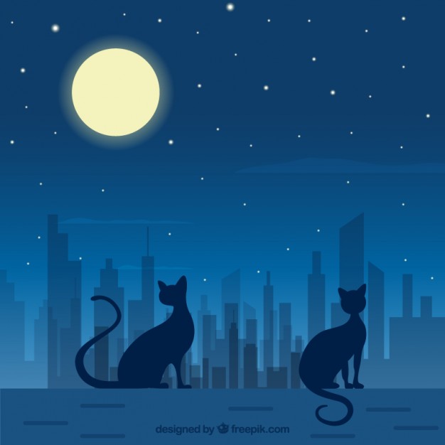 626x626 Night Vectors, Photos And Free Download