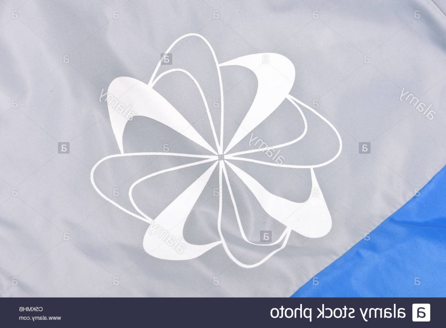 1560x1147 Stock Photo Mens Nike Windrunner Jacket In Bluegrey With Pinwheel