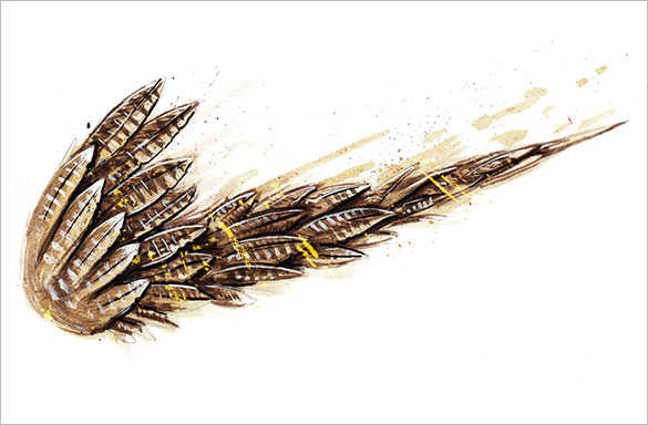 585x384 Inspiring Nike Logos