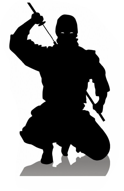 481x742 Huge Collection Of 'ninja Silhouette' Download More Than