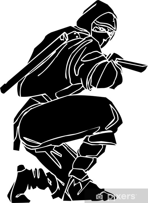 Ninja Fighter 513x700 Ninja Fighter