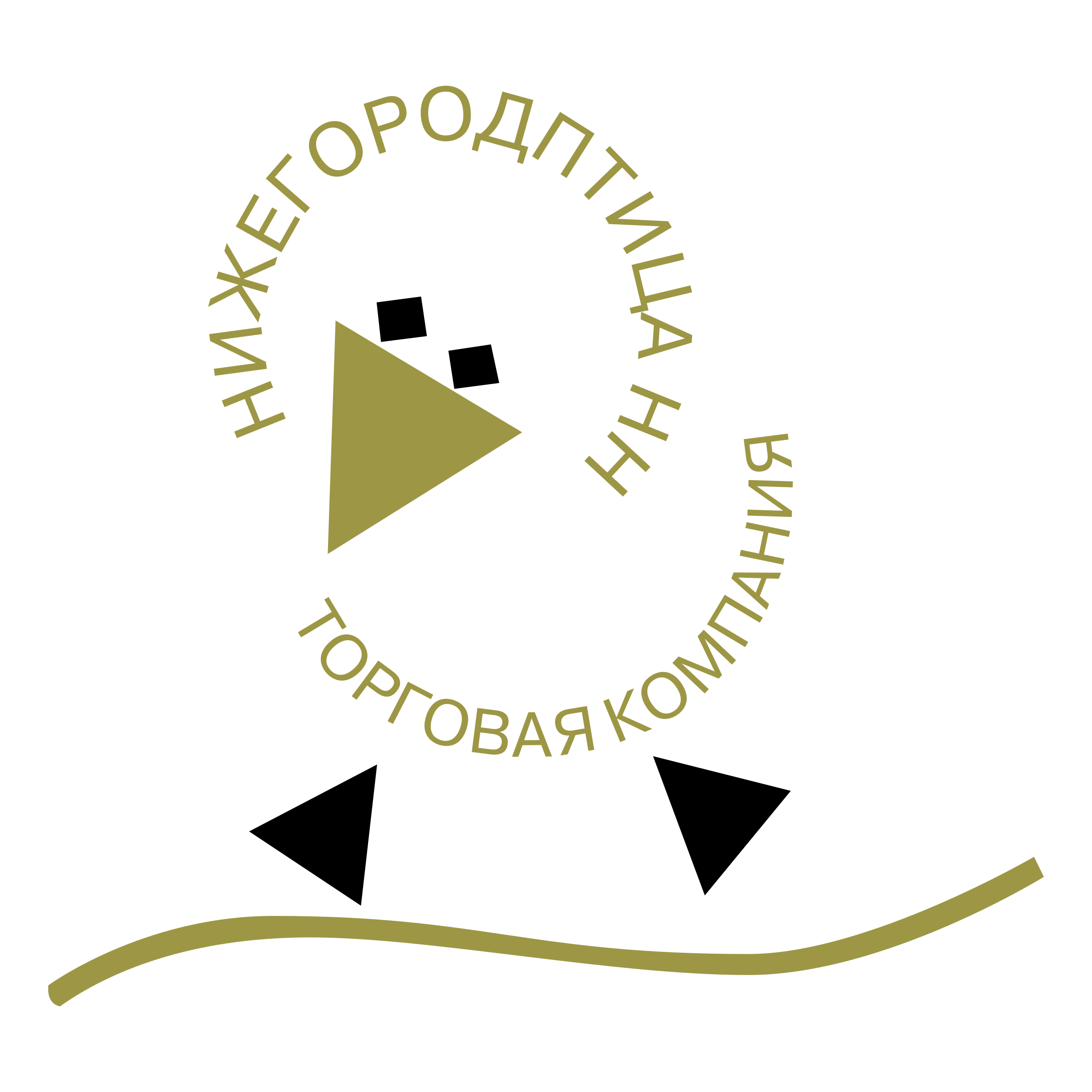 2400x2400 Nizherorodptitca Nn Logo Png Transparent Vector