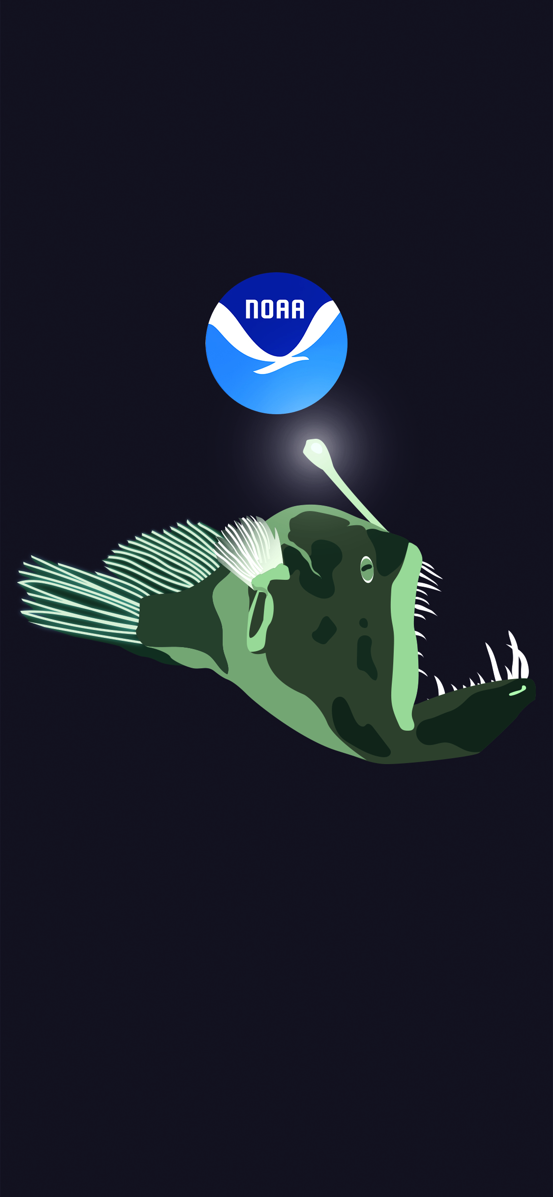 1125x2436 Noaa's National Ocean Service Wallpaper
