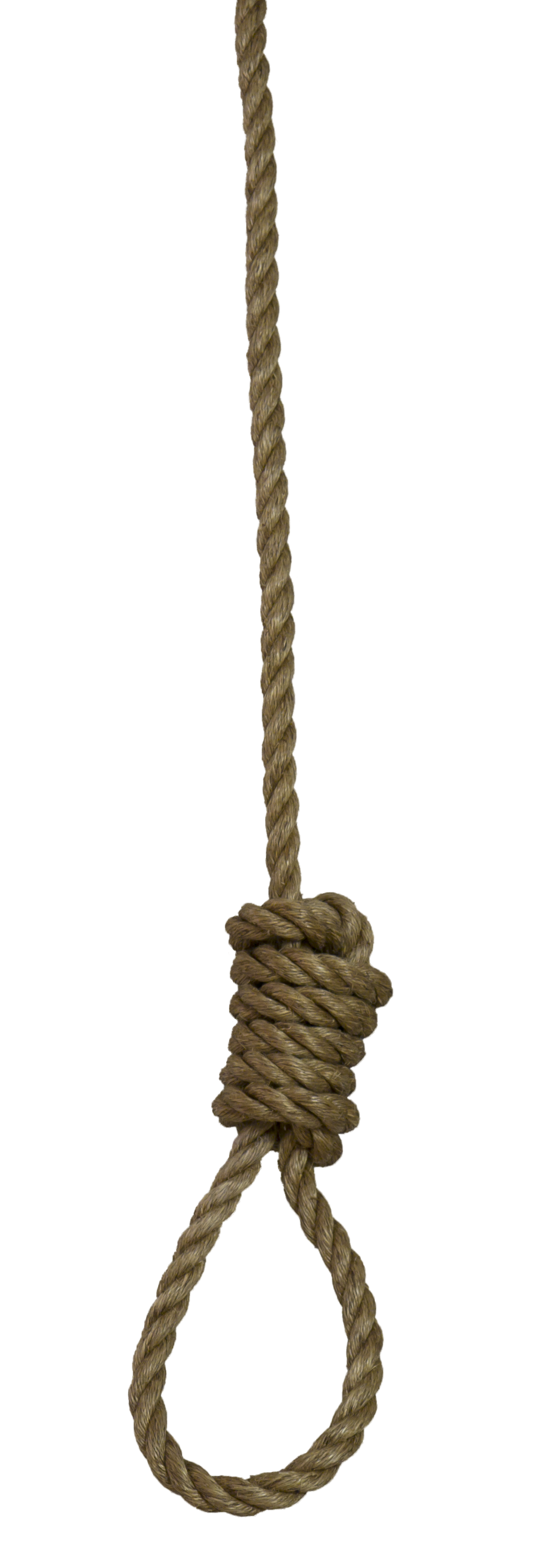900x2582 Vector Png Noose