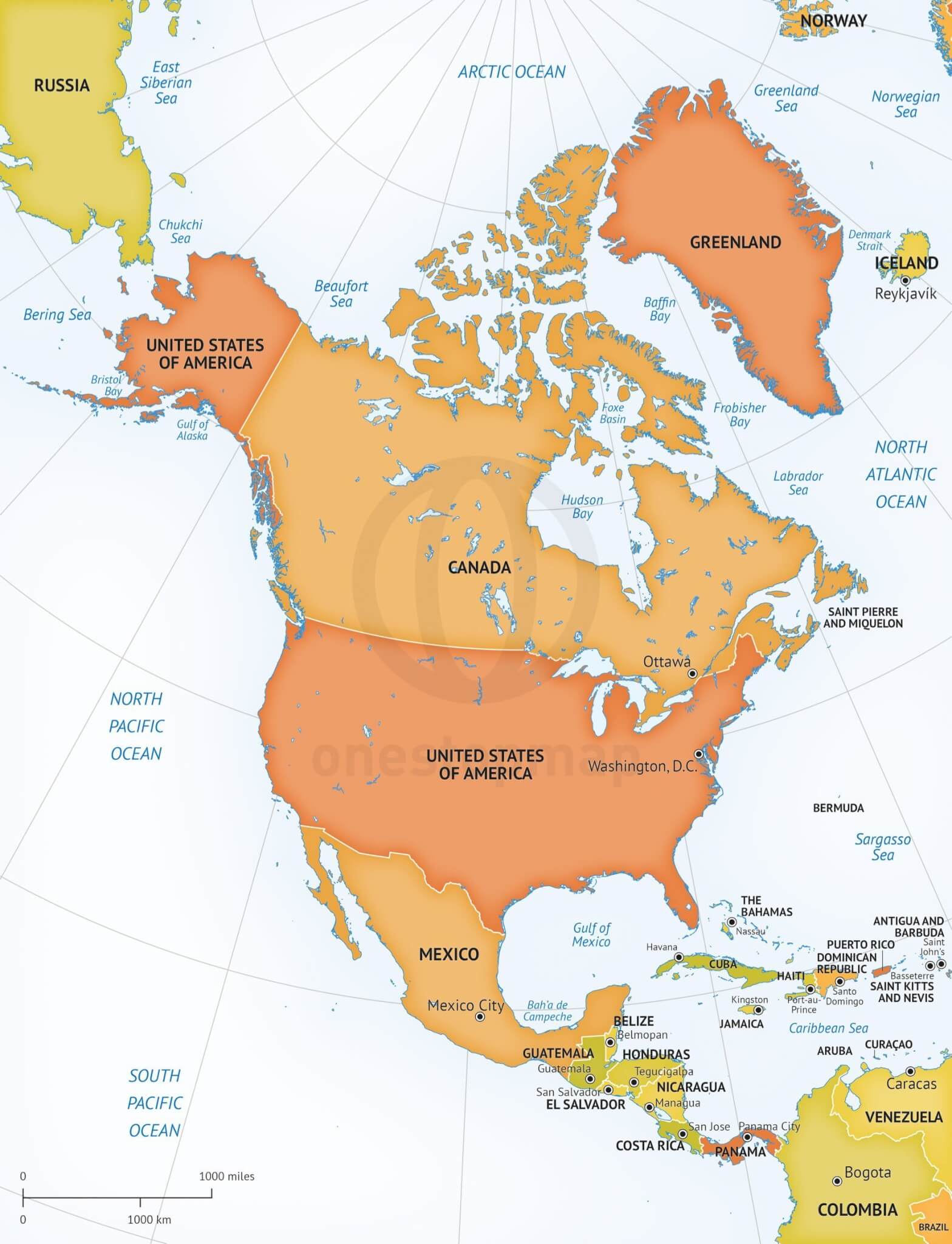 1568x2048 Vector Map Of North America Continent One Stop Map