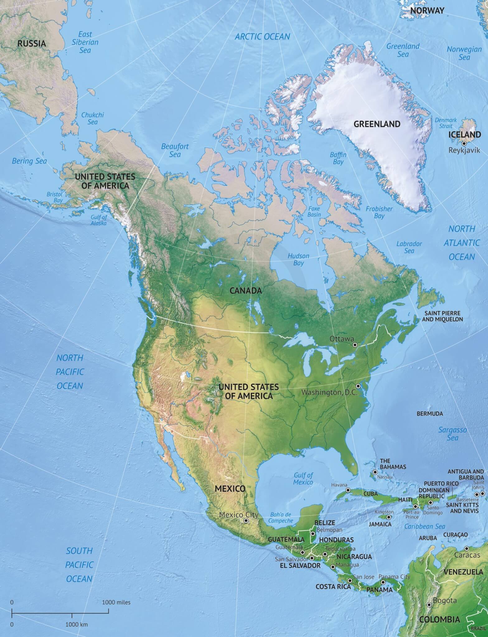 1568x2048 Vector Map North America Continent Relief One Stop Map