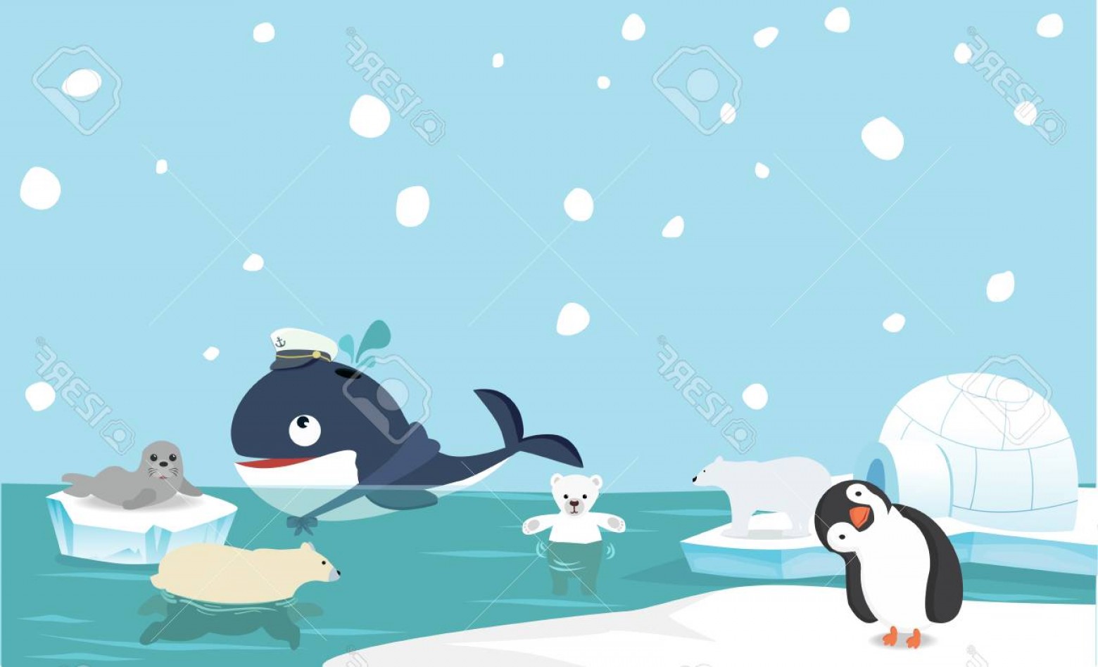 Photostock Vector North Pole Animal Background Vector Illustration 1560x949 Photostock Vector North Pole Animal Background Vector Illustration