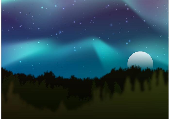 700x490 Northern Lights Vector Forest Stock Images