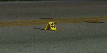 Northrop Grumman Logo Vector