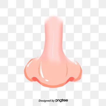 Nose Png, Vector, And Clipart With Transparent Background 360x360 Nose Png, Vector, And Clipart With Transparent Background