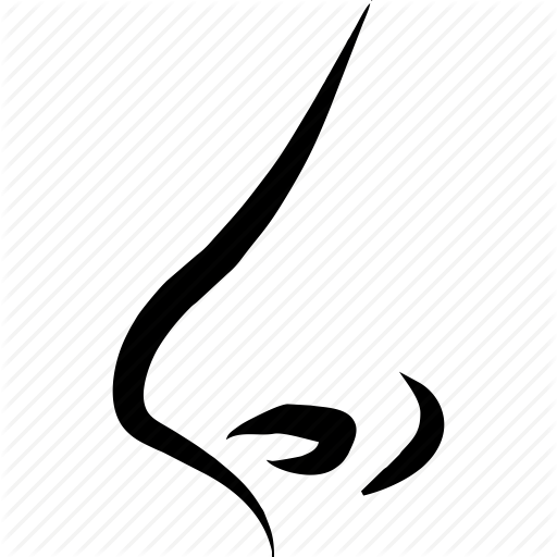 Nose Vector Png Vector, Clipart 512x512 Nose Vector Png Vector, Clipart