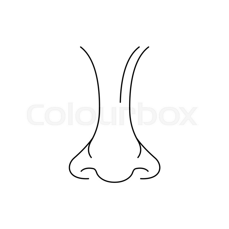 Nose Icon Outline Nose Vector Icon Stock Vector Colourbox 800x800 Nose Icon Outline Nose Vector Icon Stock Vector Colourbox