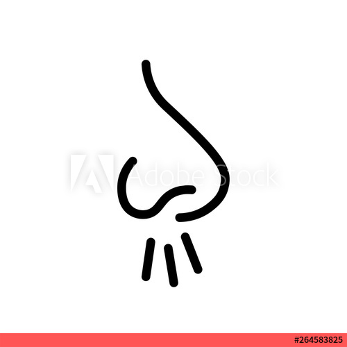 Nose Vector Icon, Smell Symbol Simple, Flat Design On White 500x500 Nose Vector Icon, Smell Symbol Simple, Flat Design On White