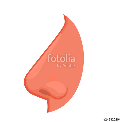 Vector Illustration Anatomy Of A Human Nose Vector Illustration 500x500 Vector Illustration Anatomy Of A Human Nose Vector Illustration