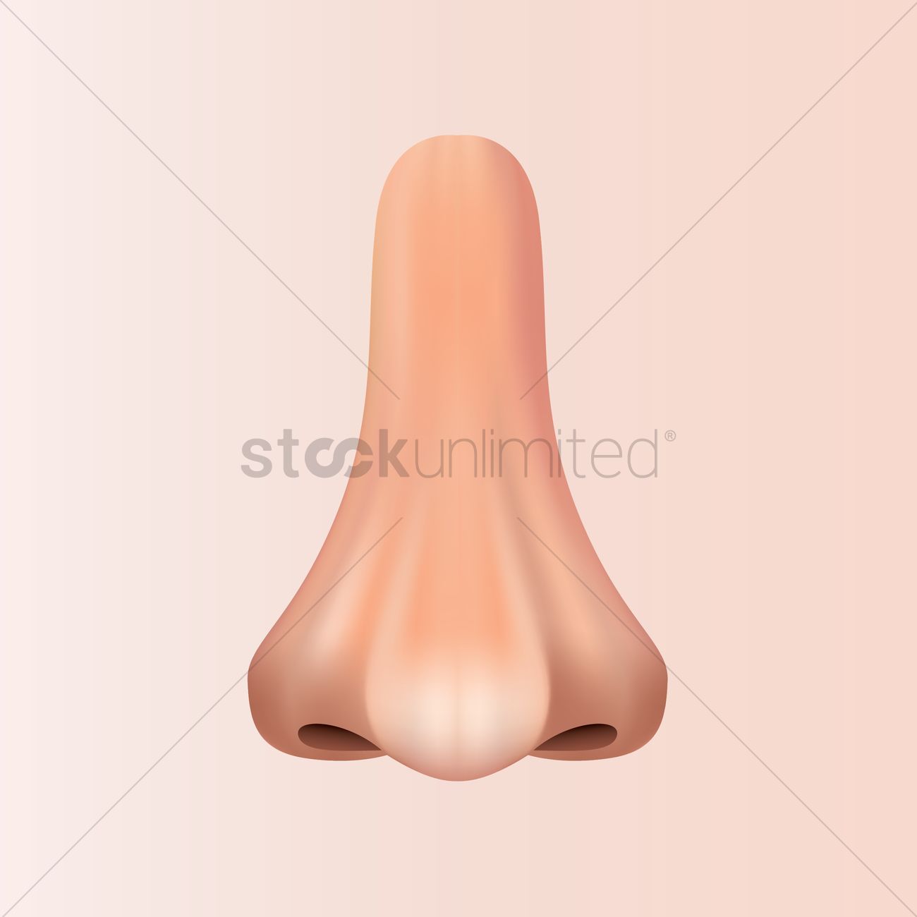 Human Nose Vector Image 1300x1300 Human Nose Vector Image