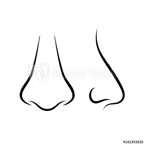 Human Nose Icon, Front And Side View 500x500 Human Nose Icon, Front And Side View