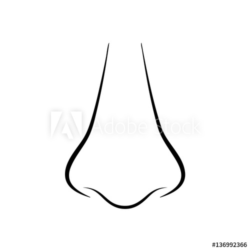 Human Nose Vector Icon Illustration 500x500 Human Nose Vector Icon Illustration