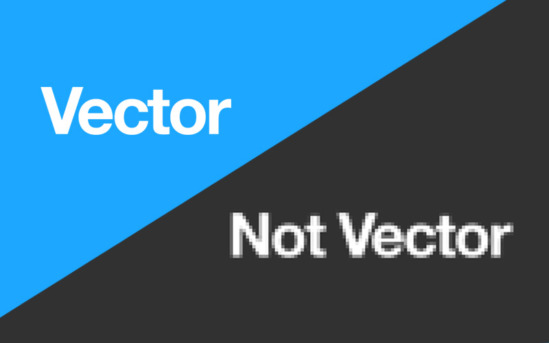 What Is A Vector 800x501 What Is A Vector