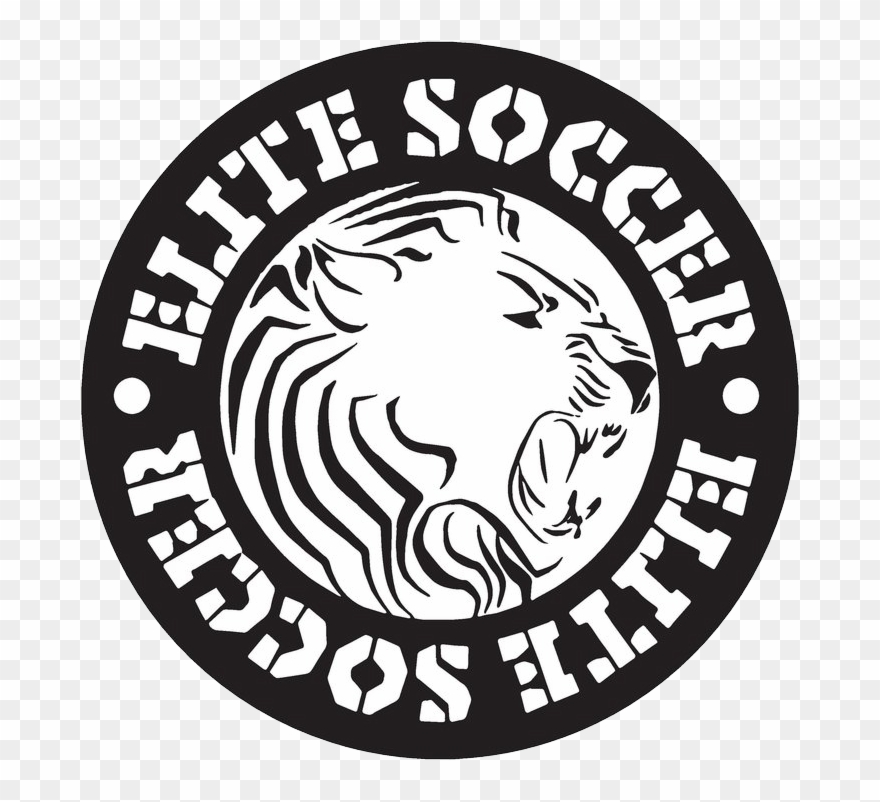 880x802 Registration For Summer Camps Is Now Open