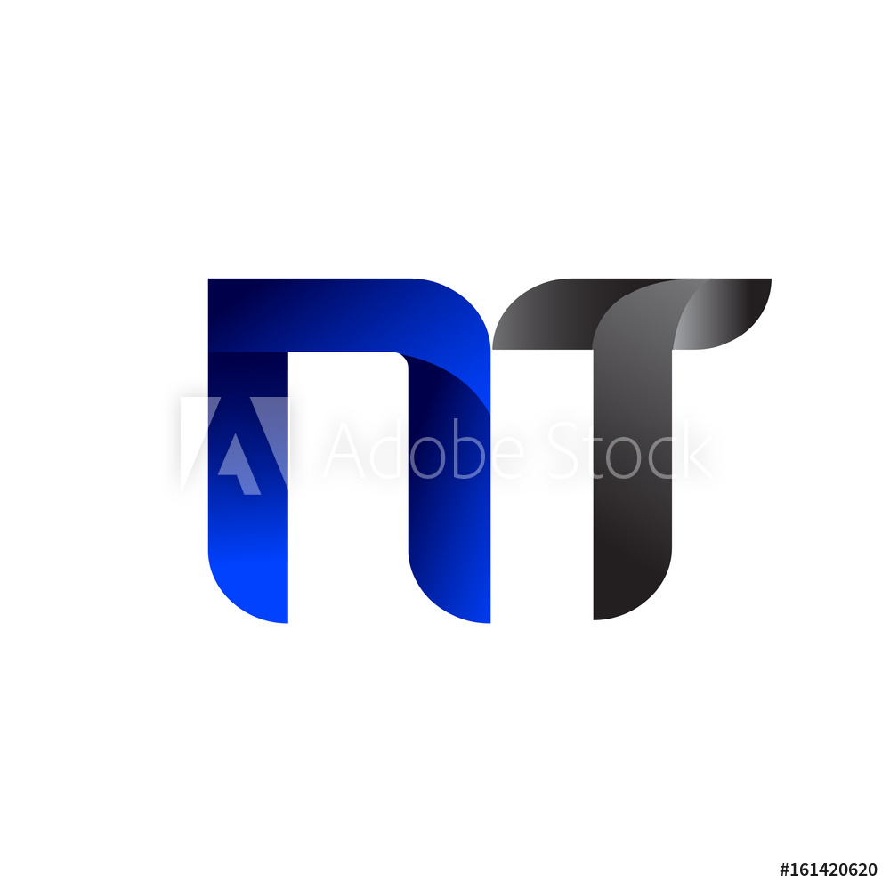 1000x1000 Fotografie, Obraz Modern Simple Initial Logo Vector Blue Grey Nt