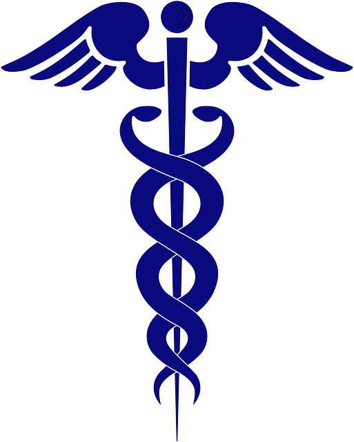 513x640 Health, Medicine, Serpent Vectorsvg Pictures Medical