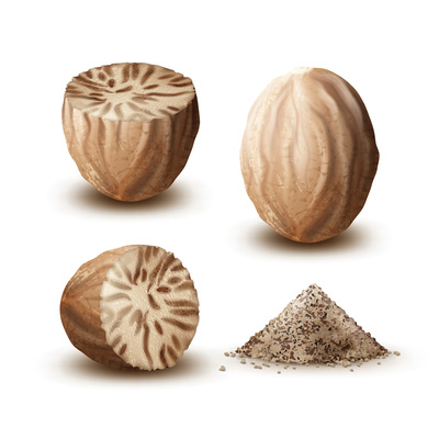 Nutmeg On Curated Vector Illustrations, Stock Royalty Free Images 400x400 Nutmeg On Curated Vector Illustrations, Stock Royalty Free Images