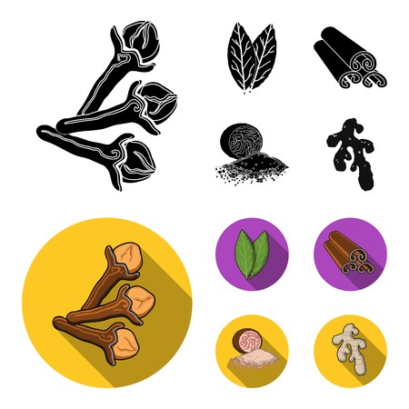 Nutmeg With Leaves Vector Illustration Of A Handful Of Nutmeg 450x450 Nutmeg With Leaves Vector Illustration Of A Handful Of Nutmeg