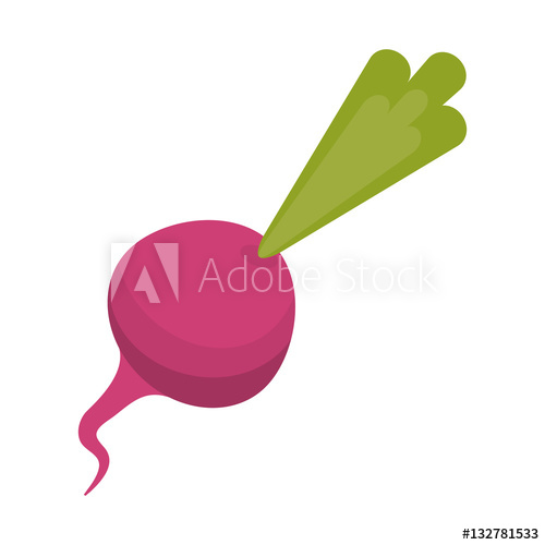 500x500 Beet Vegetable Diet Nutrition Vector Illustration