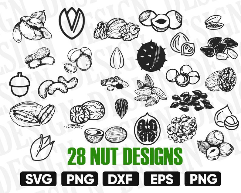 794x635 Nut Bundle Nutcracker Nuts Vector Silhouette Nut Etsy