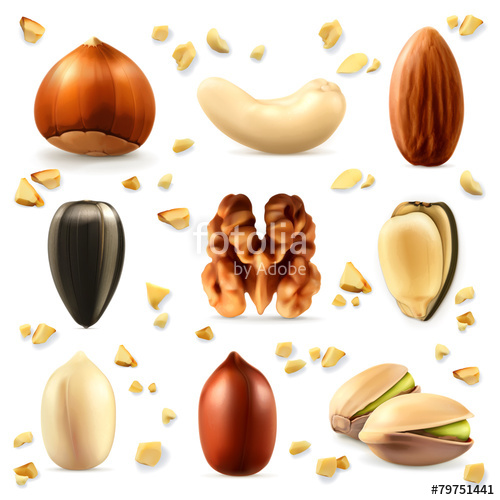 500x500 Nuts, Vector Icon Set Stock Image And Royalty Free Vector