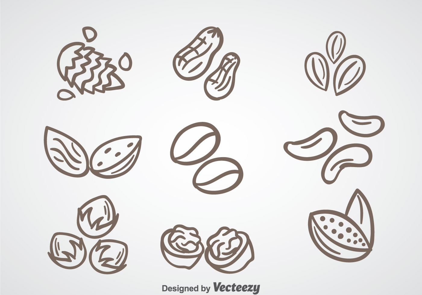 1400x980 Nuts Free Vector Art