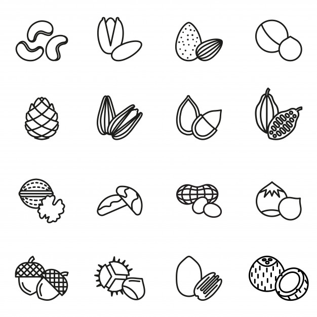 626x626 Nuts Icon Vectors, Photos And Free Download