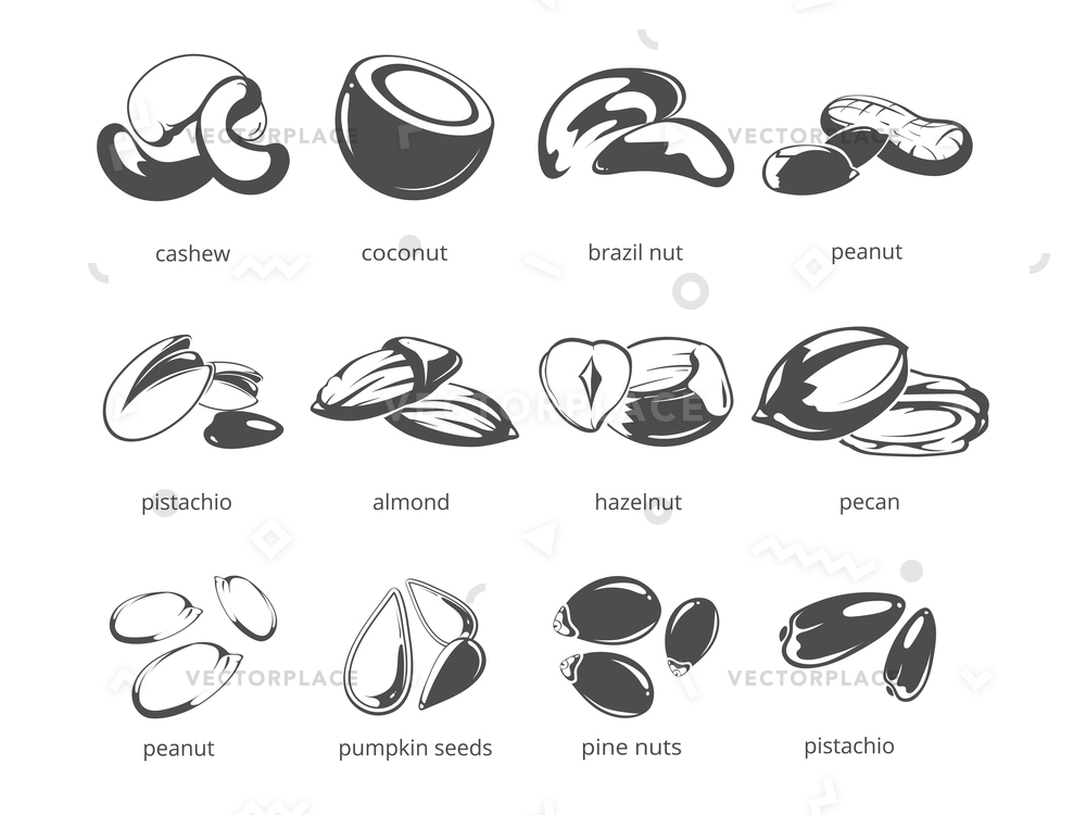 1000x750 Nuts Isolated White Background Big Vector Illustration