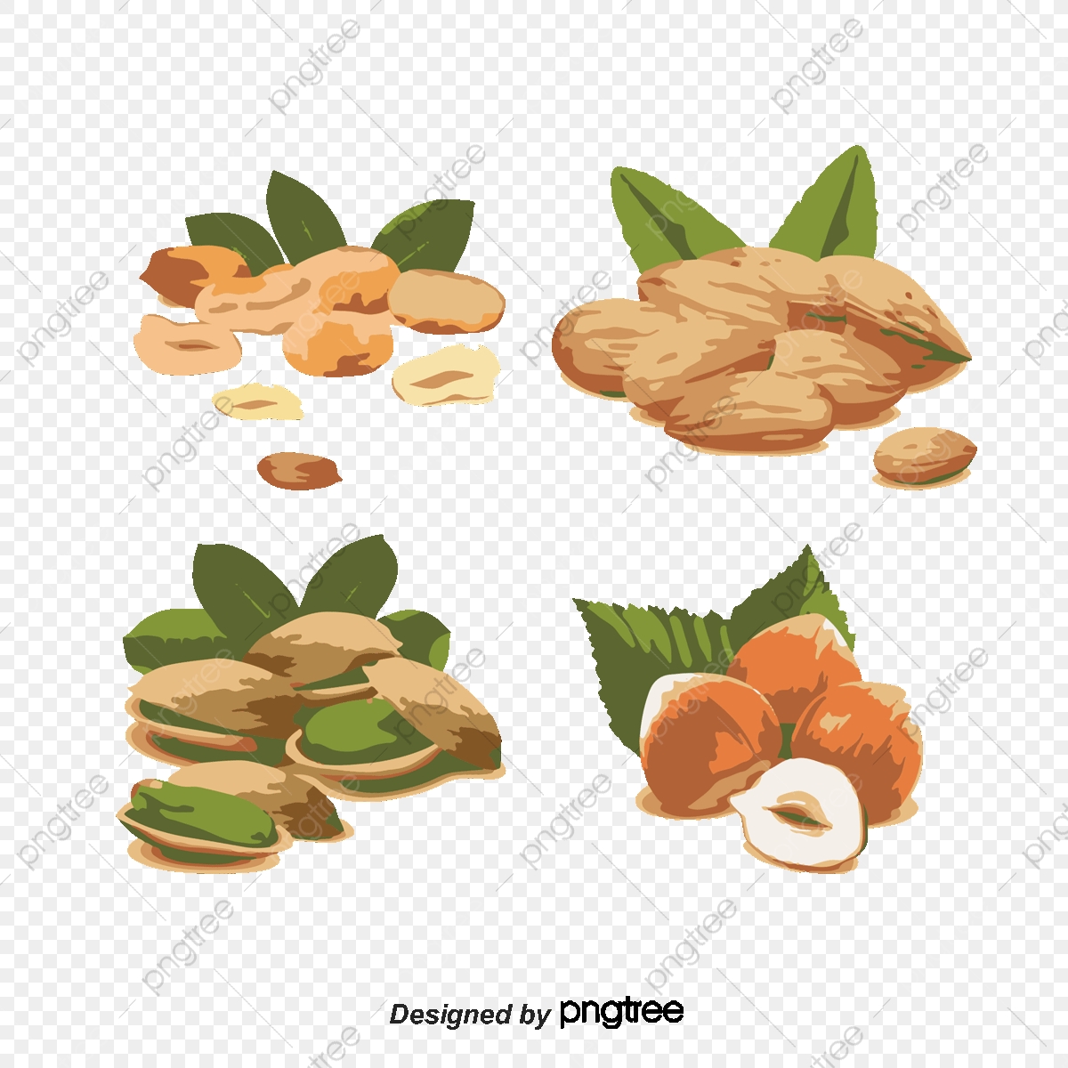 1200x1200 Nuts Vector, Peanut, Nut, Pistachio Png And Vector