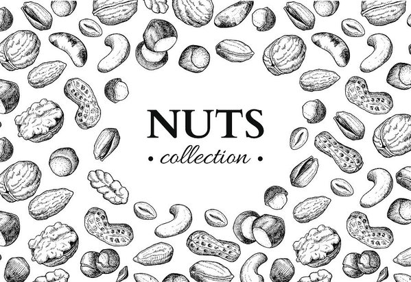599x412 Nuts Vector Vintage Frame Illustration Hand Drawn Engraved Food