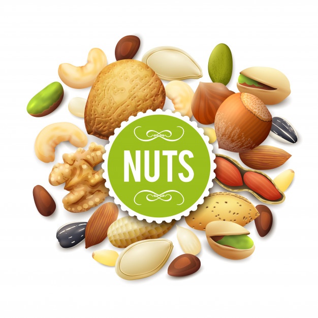 626x626 Nuts Vectors, Photos And Free Download