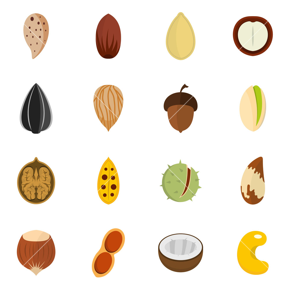 1000x1000 Nuts Icons Set Flat Illustration Of Nuts Vector Icons Isolated