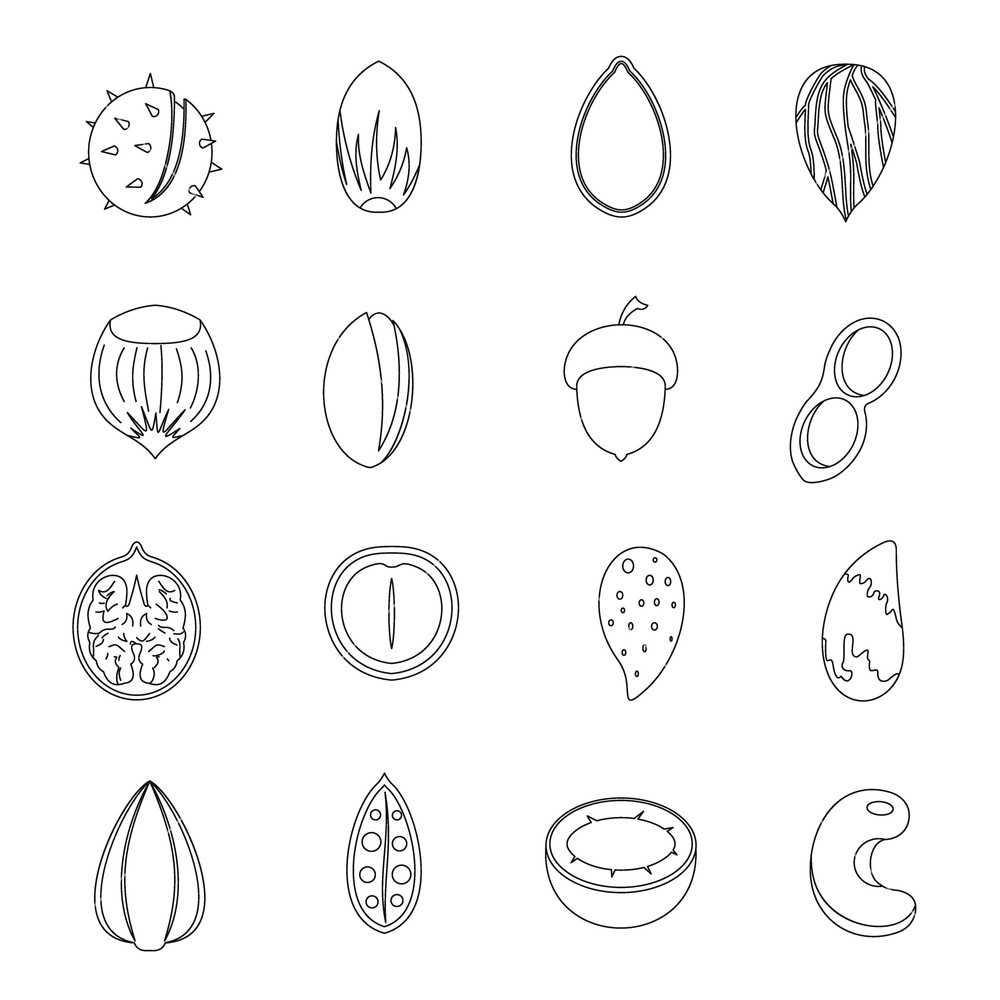 1000x1000 Nuts Icons Set Outline Illustration Of Nuts Vector Icons