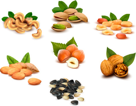 474x368 Nuts Vector Free Download Free Vector Download