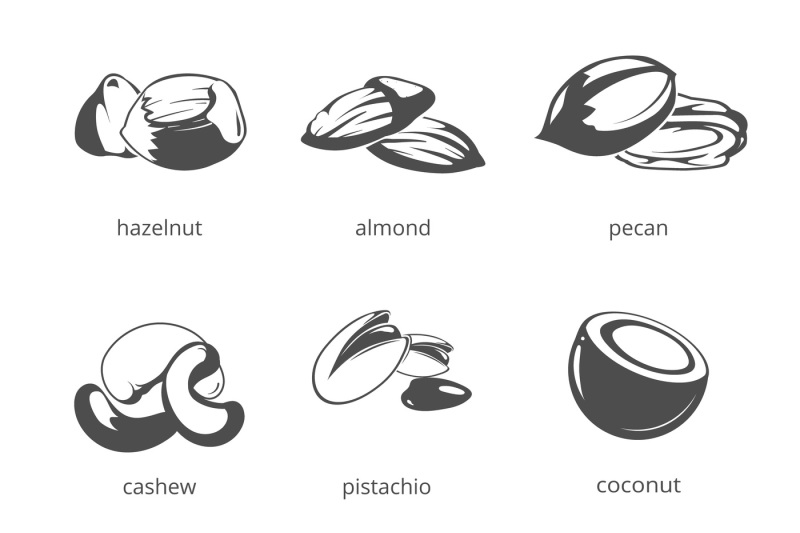 800x533 Nuts Vector Icon Set