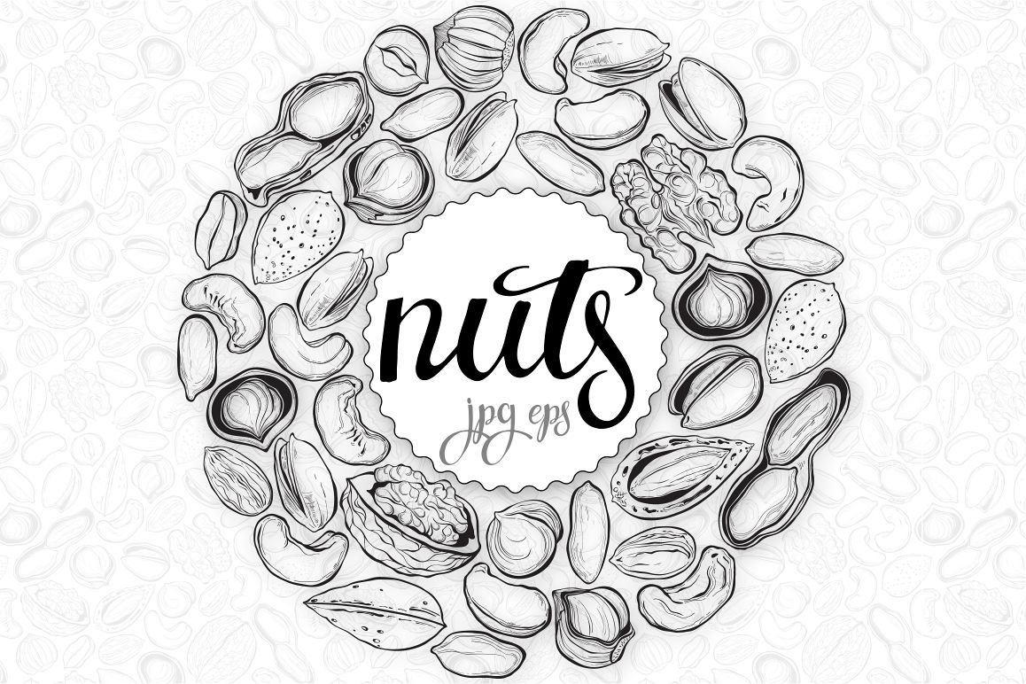 1158x772 Nuts Vector Set