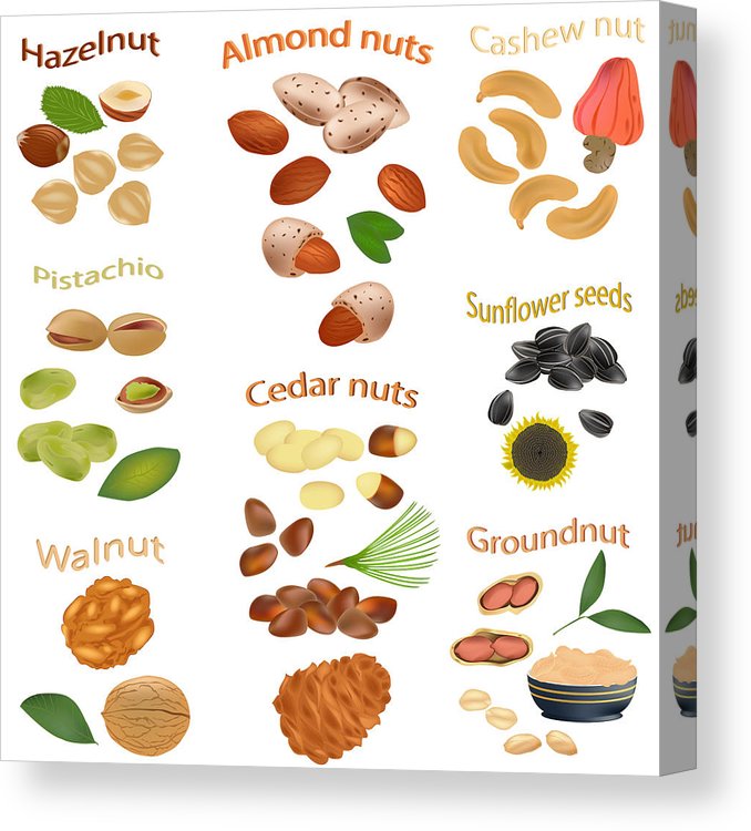 678x750 Set Of Nuts Isolated On White Background Peanuts, Cashews