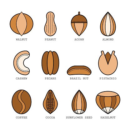 416x416 Set Of Flat Colored Icons With Different Nuts, Vector Illustration