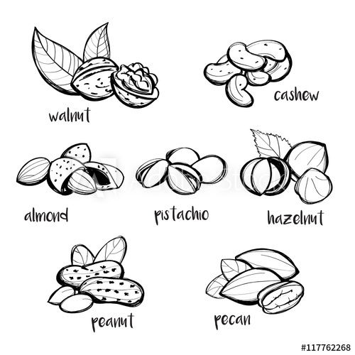 500x500 Set Of Hand Drawn Nuts, Vector Illustration