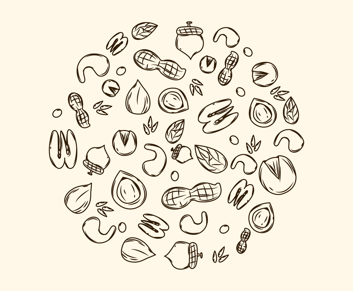 1136x936 Sketch Of Various Nuts Vector Vector Art Graphics